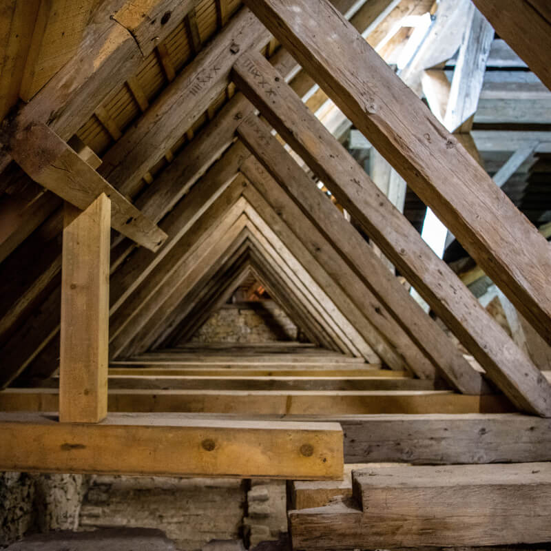 Les Petits Couvreurs de la Loire - Traitement de charpente - Termite - Loire-Atlantique
