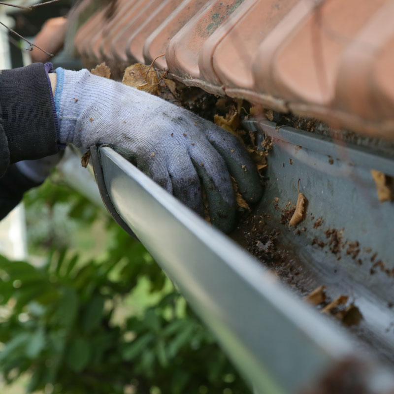 Les Petits Couvreurs de la Loire - Entretien nettoyage de gouttières - Zinguerie